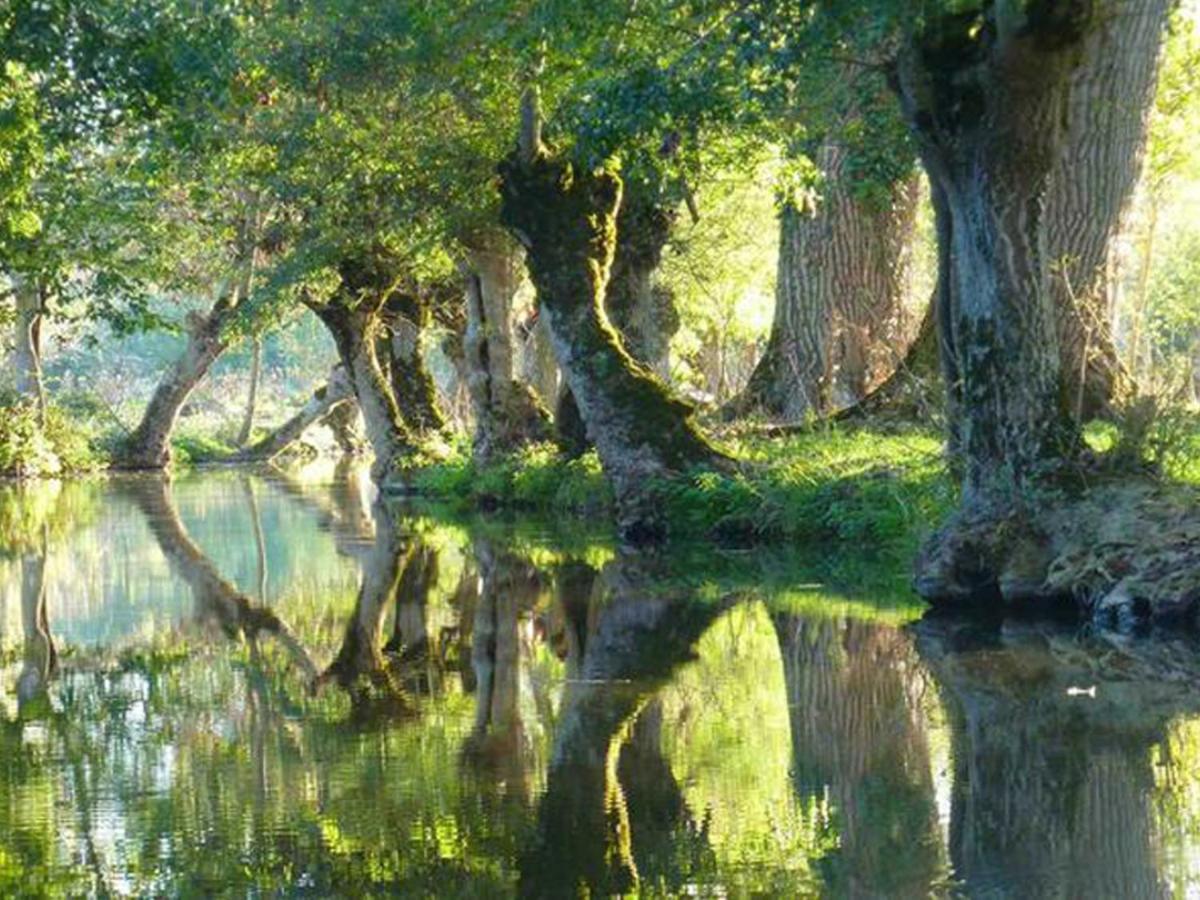 Willa La Laujere Ivie - Gite & Piscine Privative Saint-Hilaire-du-Bois  Zewnętrze zdjęcie